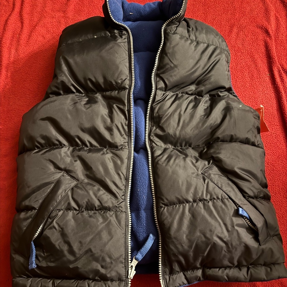 Black Puffer Vest with Blue Lining